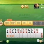 双升游戏(双升游戏单机版)缩略图