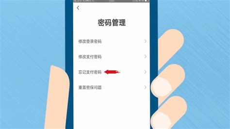 手机怎样查字典,手机怎样查字典新华字典缩略图