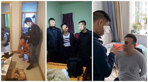茄子视频成人,茄子鬼畜视频缩略图