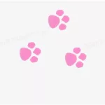 猫脚印图片(猫脚印图片和性格)缩略图