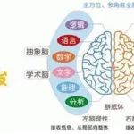 脑力开发(脑力开发课程是真是假)缩略图