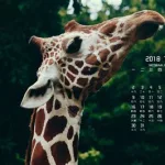 神马快爆(神马快爆电脑版官网_每日白菜价优惠快报)缩略图
