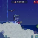 泰拉瑞亚飞龙(泰拉瑞亚飞龙剑获得方法)缩略图
