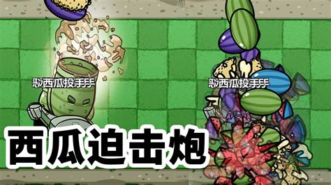 植物大战僵尸小视频(植物大战僵尸小视频动画)缩略图