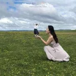 自助旅游(自助旅游英语)缩略图