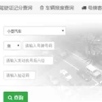 车辆违规查询(车辆违章查询直接输入车牌号)缩略图