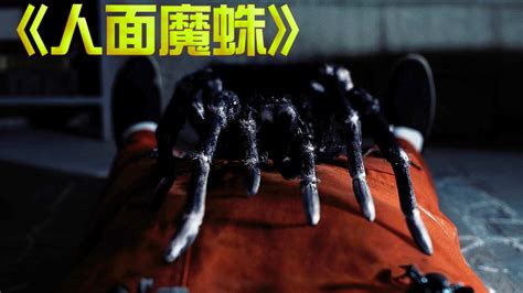 人面魔蛛(人面魔蛛武魂)缩略图