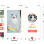 宠爱app(宠爱app约会)缩略图