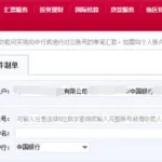 中行企业网银,中行企业网银怎么查询交易明细缩略图