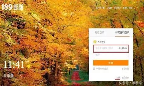 电信189邮箱(中国电信189邮箱)缩略图