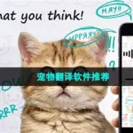 酷狗翻译器(酷狗翻译器在线翻译)缩略图