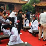 成人合集,成人毛笔字初学者零基础教学合集缩略图
