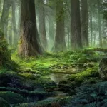 童话森林(童话森林植物大战僵尸)缩略图