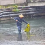 清理垃圾(清理垃圾的软件)缩略图