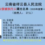 全国失信人,全国失信人查询网上查询系统缩略图