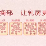 丰胸秘cup(丰田卡罗拉2022全新款落地价)缩略图