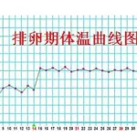 女性排卵期计算器(女性排卵期计算器测试准确吗)缩略图