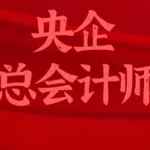 中国会计视野论坛(中国会计视野论坛官网)缩略图