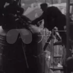 和平主义者,和平主义者炽天使缩略图