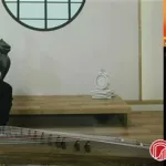 中国古筝网官网(中国古筝网官网下载)缩略图