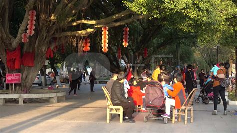 老年人广场舞(老年人广场舞全部视频)缩略图