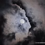 月亮影视(月亮影视大全免费追剧官网下载安装)缩略图