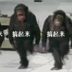 猩猩表情包(猩猩表情包给我)缩略图
