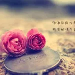 字图片大全大图,字图片大全大图下载缩略图