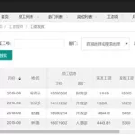 工资系统,工资系统管理软件缩略图