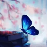 心灵之光(心灵之光小说)缩略图