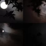 一轮明月挂天边(一轮明月挂天边,淑女才子并蒂莲)缩略图