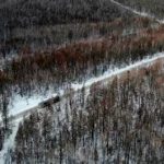 颠簸之路,颠簸之路手游缩略图