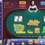 新天地棋牌(新天地棋牌2)缩略图