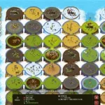 王国争霸(王国争霸2手机版下载)缩略图