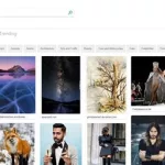 图片搜索图片识别(图片搜索图片识别百度在线)缩略图