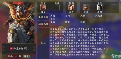 新三国策(新三国策驰)缩略图