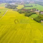 一亩田地,一亩田地的价格多少钱缩略图