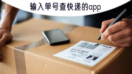手机查询快递,手机查询快递物流信息怎么查缩略图