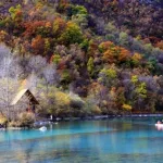 报团旅游,报团旅游在哪里找缩略图