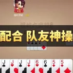 温岭对家统,温岭对家统手机版下载缩略图