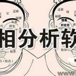 免费自测面相,免费自测面相财运缩略图
