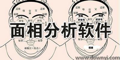 免费自测面相,免费自测面相财运缩略图
