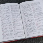 中华成语词典,中华成语词典pdf缩略图