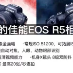 蜂鸟直播,蜂鸟直播下载缩略图