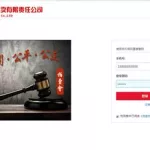 拍卖平台(拍卖平台捡漏app)缩略图