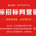 保标招标网(保标招标网怎么样)缩略图
