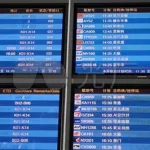 飞常准航班动态实时查询,飞常准航班动态实时查询下载缩略图