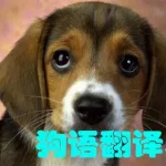 狗翻译器(狗翻译器免费版)缩略图