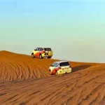 沙漠飙车(沙漠飙车视频)缩略图