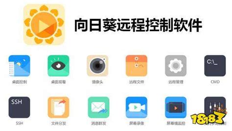 向日葵客户端,向日葵远程可以后台静默操作缩略图